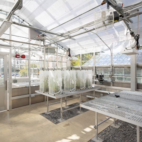 Nancy Jean Stump Seiger ’54 Botanical Research Center Kutztown University